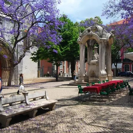 Charming Xix Century Flat-lisbon Historical Center * リスボン