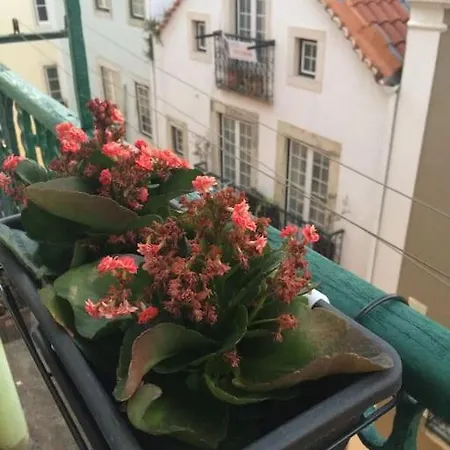 Charming Xix Century Flat-lisbon Historical Center リスボン
